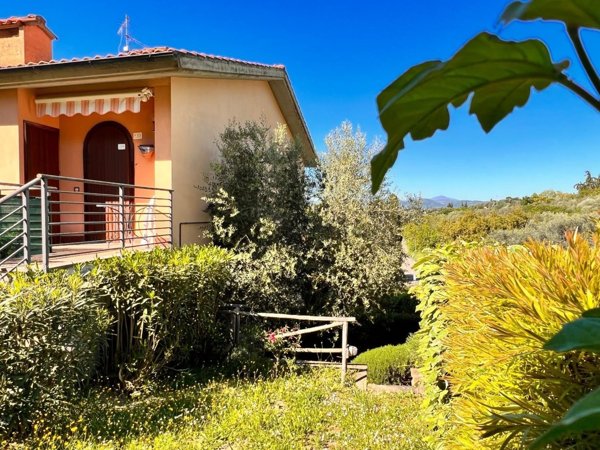 casa indipendente in vendita a Manciano in zona Montemerano