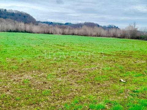 terreno agricolo in vendita a Manciano