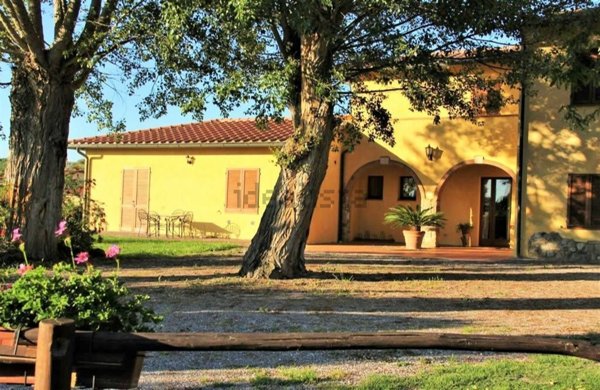 appartamento in vendita a Massa Marittima
