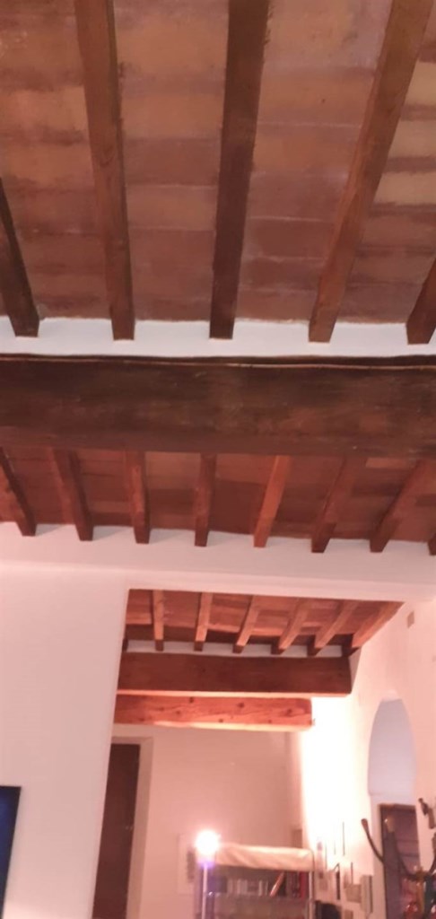 appartamento in vendita a Massa Marittima