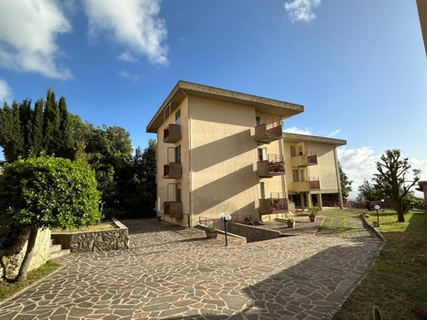 appartamento in vendita a Massa Marittima