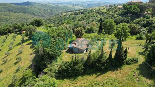 terreno agricolo in vendita a Massa Marittima in zona Tatti