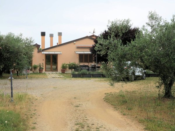 esavano in vendita a Massa Marittima