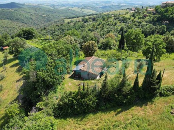 terreno agricolo in vendita a Massa Marittima in zona Tatti