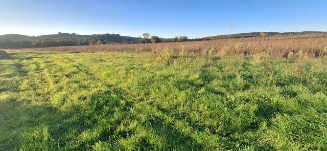 negozio in vendita a Massa Marittima