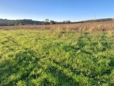 terreno agricolo in vendita a Massa Marittima