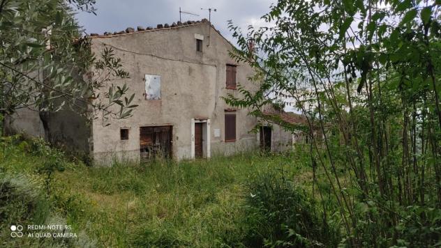 terreno agricolo in vendita a Massa Marittima