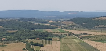 appartamento in vendita a Massa Marittima