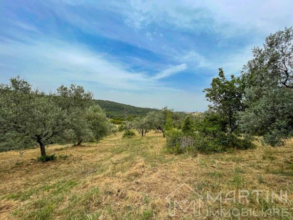 terreno agricolo in vendita a Massa Marittima in zona Tatti