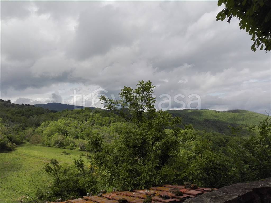 locale commerciale in vendita a Massa Marittima in zona Prata