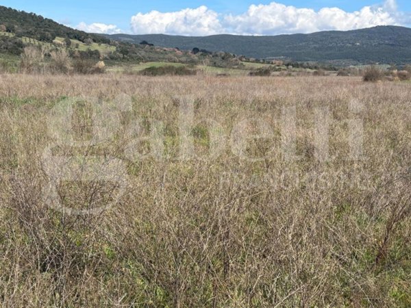 terreno agricolo in vendita a Massa Marittima