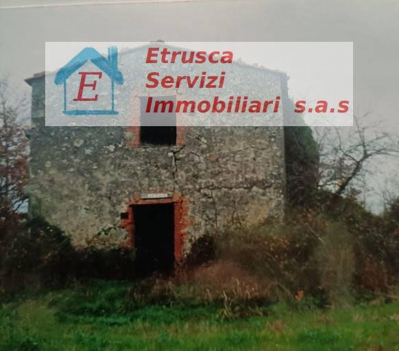 terreno agricolo in vendita a Massa Marittima