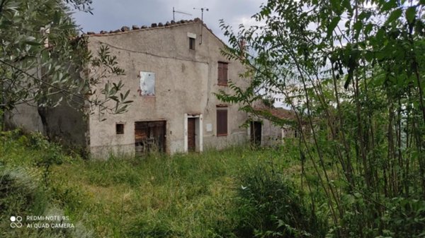 appartamento in vendita a Massa Marittima