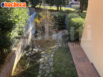 appartamento in vendita a Massa Marittima