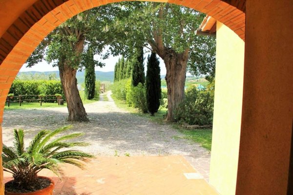 appartamento in vendita a Massa Marittima