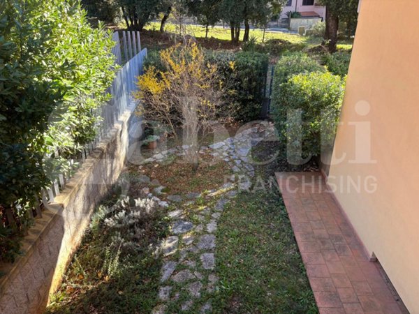 appartamento in vendita a Massa Marittima