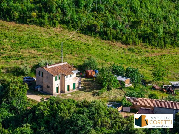 pentavano in vendita a Massa Marittima