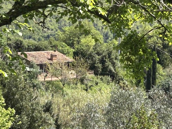 casa indipendente in vendita a Massa Marittima in zona Tatti