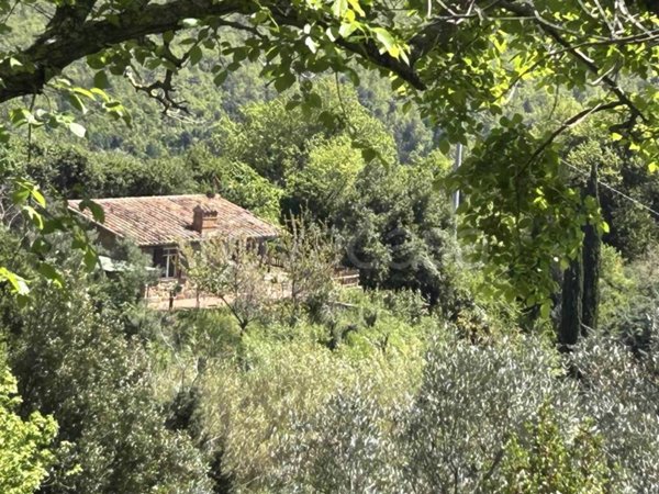appartamento in vendita a Massa Marittima in zona Tatti
