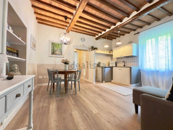 appartamento in vendita a Massa Marittima