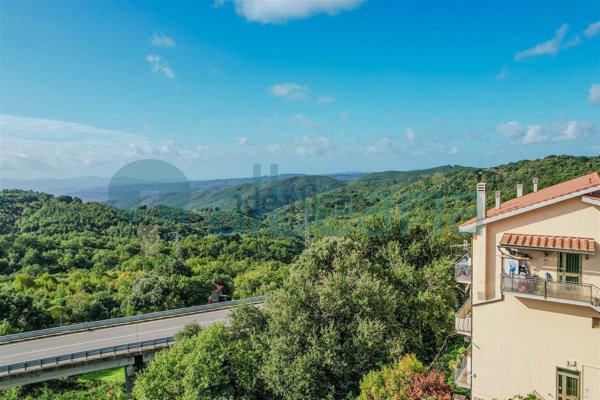 appartamento in vendita a Massa Marittima in zona Prata