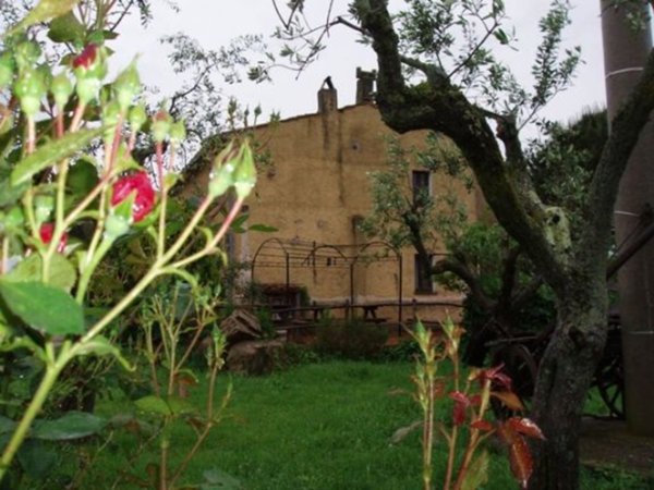 azienda agricola in vendita a Massa Marittima