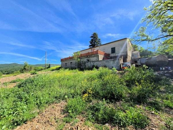 azienda agricola in vendita a Massa Marittima