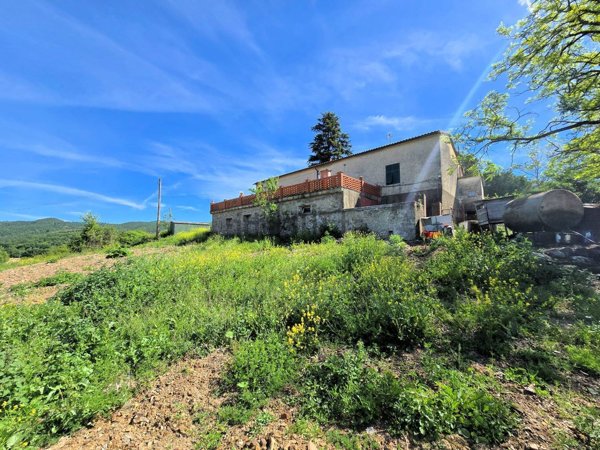 azienda agricola in vendita a Massa Marittima