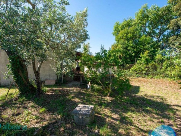 terreno agricolo in vendita a Massa Marittima