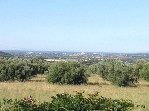 quadrivano in vendita a Massa Marittima in zona Valpiana