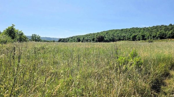 azienda agricola in vendita a Massa Marittima
