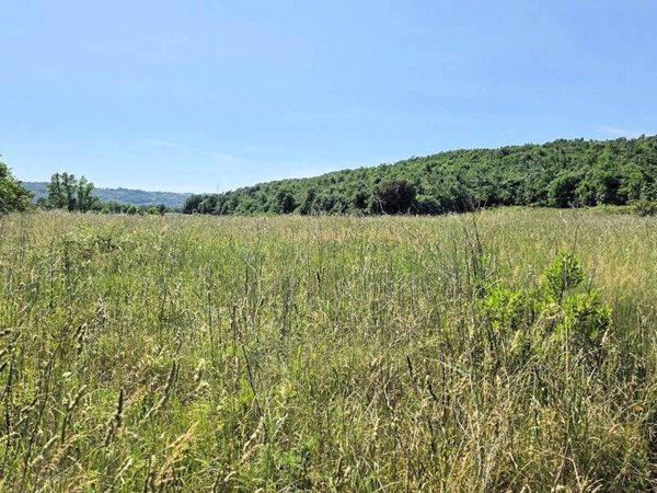 azienda agricola in vendita a Massa Marittima