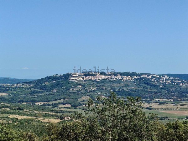 quadrivano in vendita a Massa Marittima