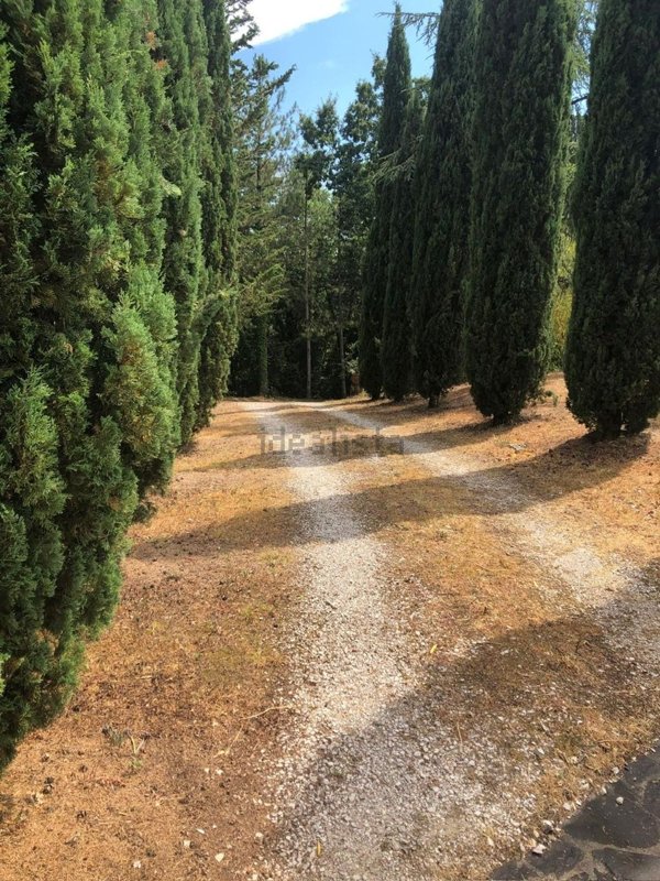 casa indipendente in vendita a Massa Marittima in zona Ghirlanda
