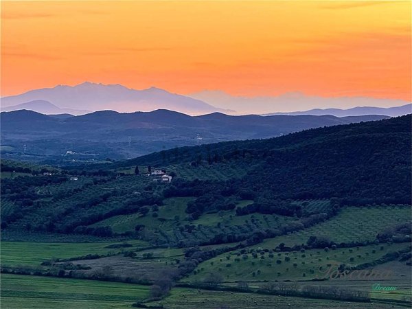 appartamento in vendita a Massa Marittima