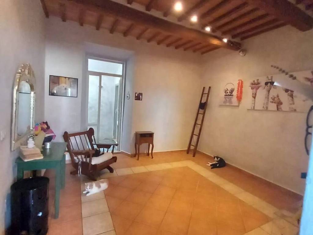 appartamento in vendita a Massa Marittima