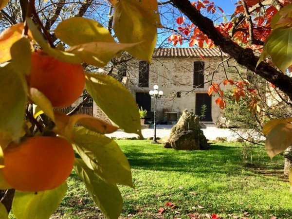 villa in vendita a Massa Marittima