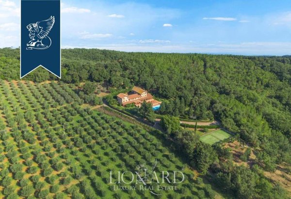 negozio in vendita a Massa Marittima