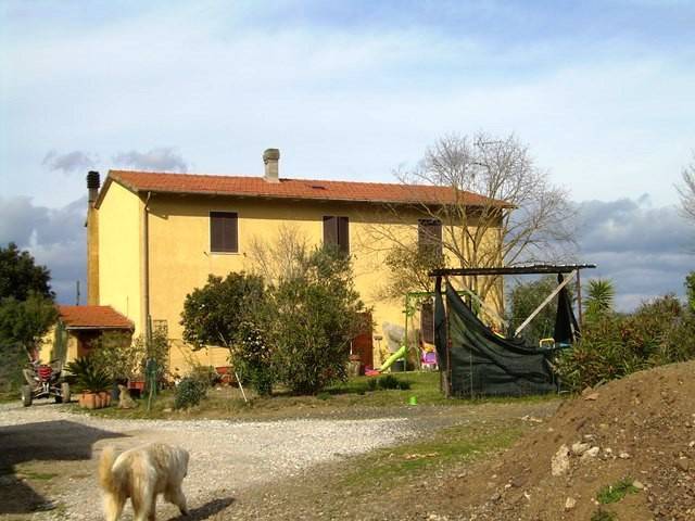 negozio in vendita a Massa Marittima