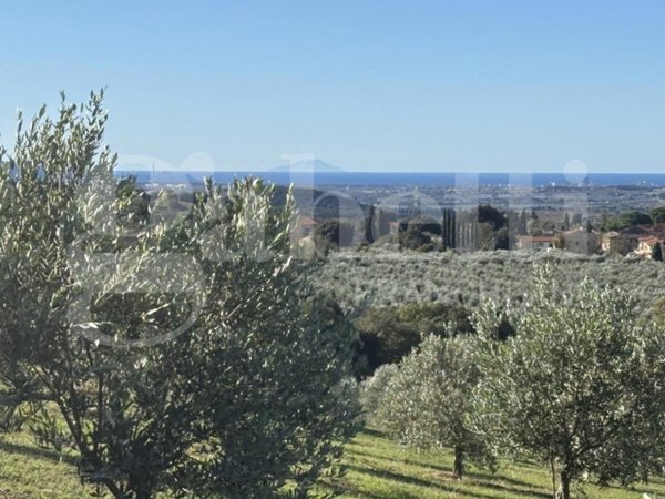 terreno agricolo in vendita a Massa Marittima in zona Valpiana