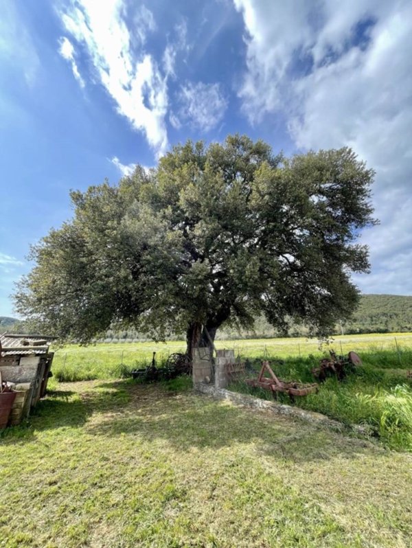 casa indipendente in vendita a Massa Marittima