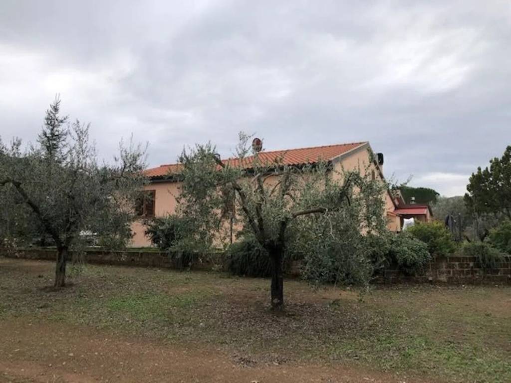 casa indipendente in vendita a Massa Marittima