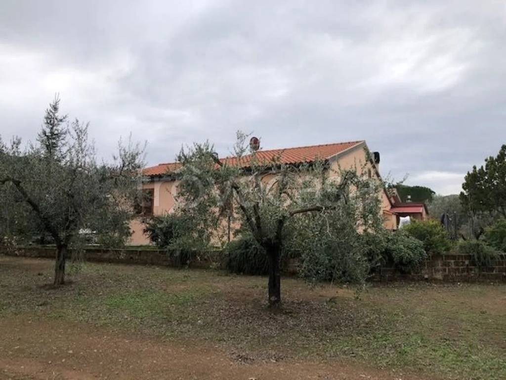 casa indipendente in vendita a Massa Marittima