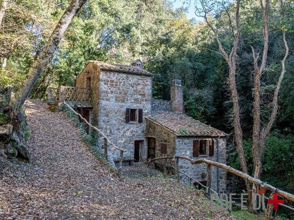 casa indipendente in vendita a Massa Marittima
