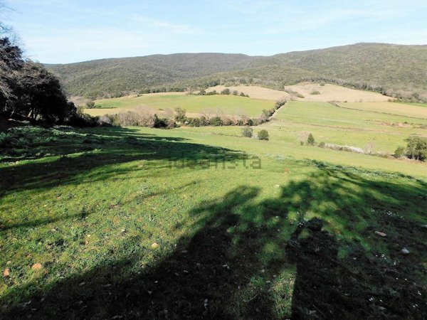 terreno agricolo in vendita a Massa Marittima