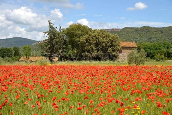 casa indipendente in vendita a Massa Marittima