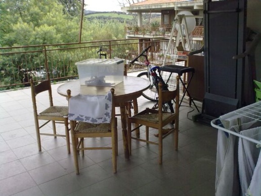 appartamento in vendita a Massa Marittima in zona Valpiana