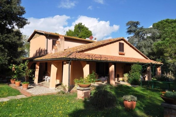 azienda agricola in vendita a Massa Marittima