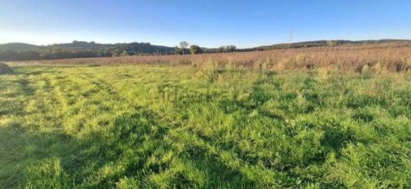 terreno agricolo in vendita a Massa Marittima