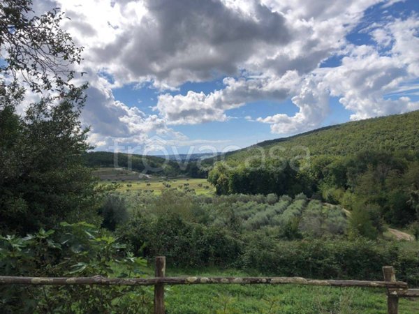 appartamento in vendita a Massa Marittima